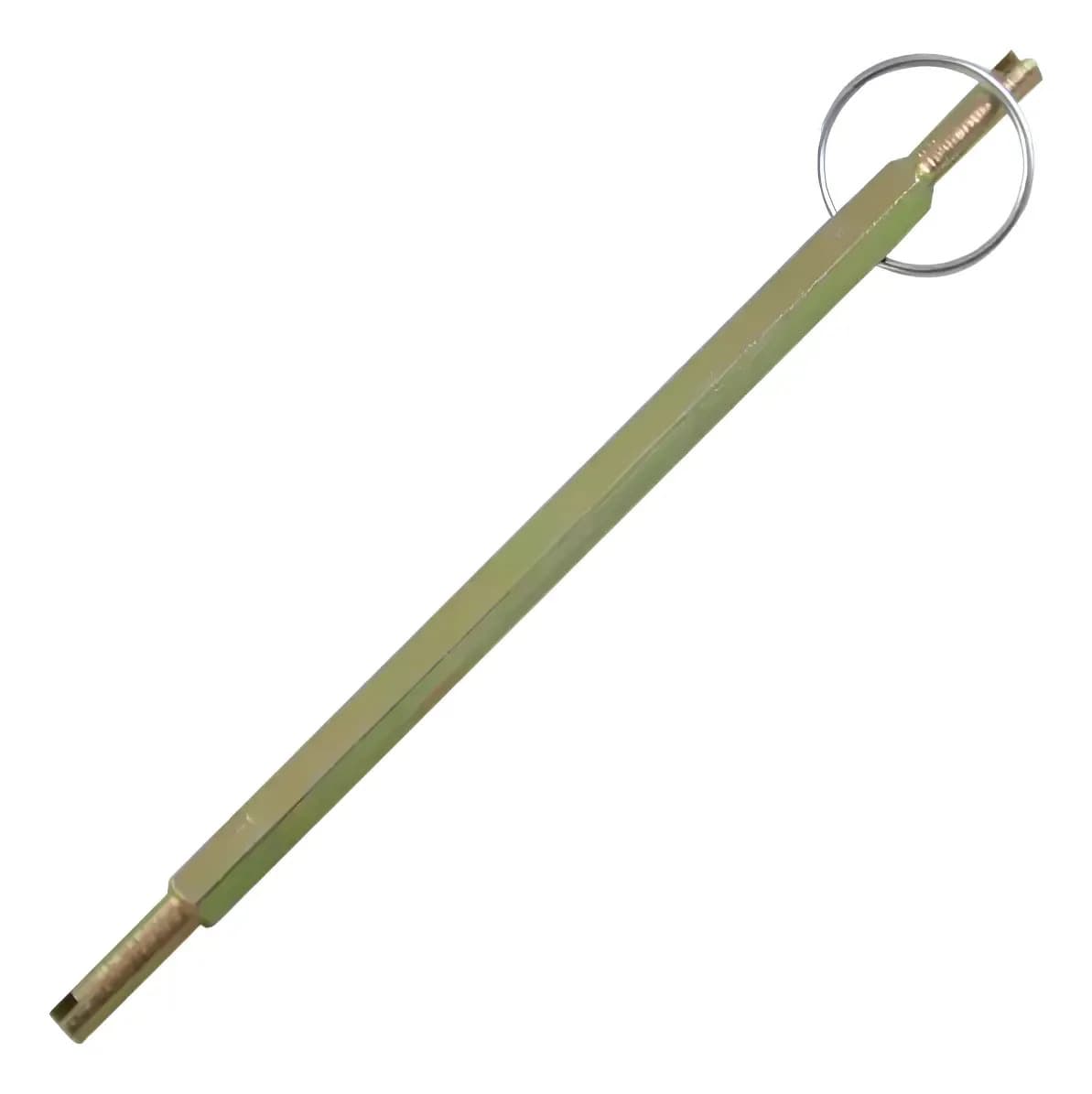 TARRAXA SEXTAVADA LONGA LUB-19